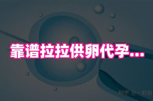 点点助孕网 4